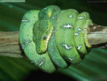 /album/fotogaleria/image1-png1/